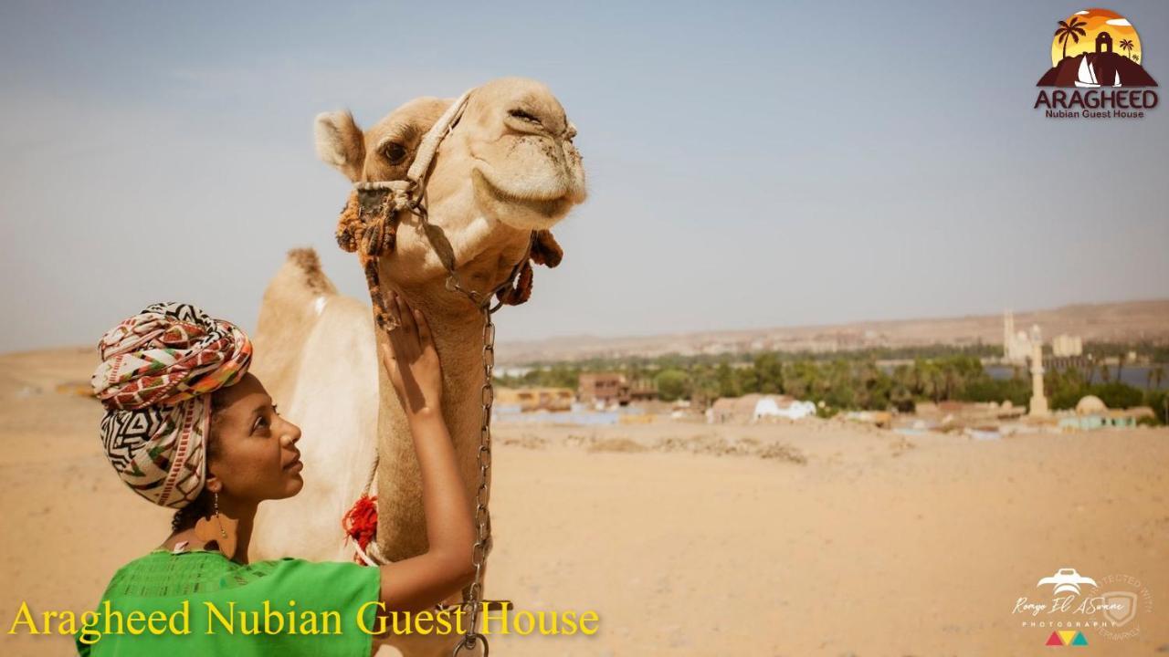 Appartement Nubian Kingdom Aragheed House à Assouan Extérieur photo